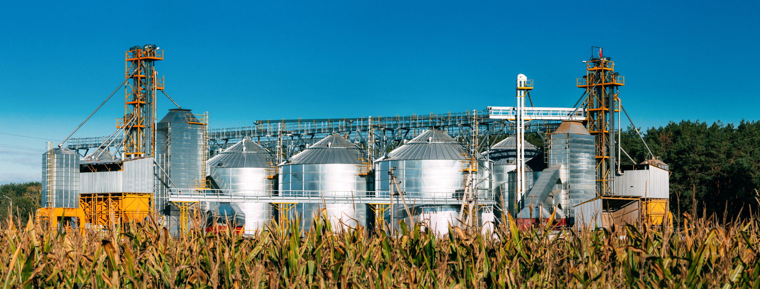 Grain silos beside a cornfield
